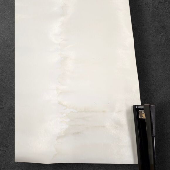 Caddyshack Tiger vs Gopher AmEx Promo Poster 2004 27x38 Golf Movie Art - Picture 12 of 14